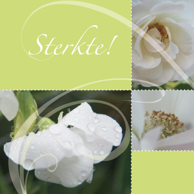 Sterkte Kaart Met Tere Bloemen Sterkte Kaarten Kaartje2go