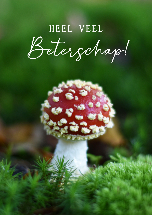 Beterschapskaarten - Beterschapskaart met herfst natuur foto van een paddenstoel