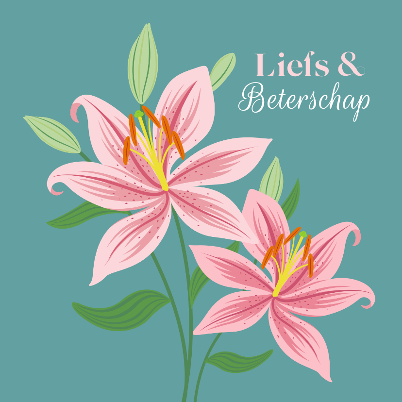 Beterschapskaarten - Beterschapskaart met roze lelies