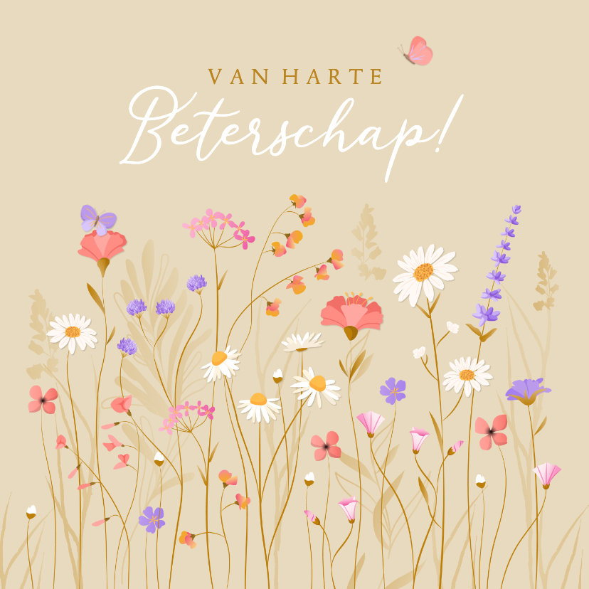 Beterschapskaarten - Beterschapskaart met sierlijk geïllustreerde wilde bloemen