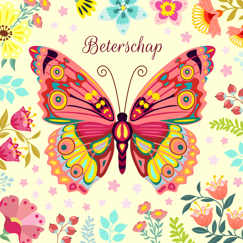 Beterschapskaarten - Beterschapskaart met vlinder en bloemen