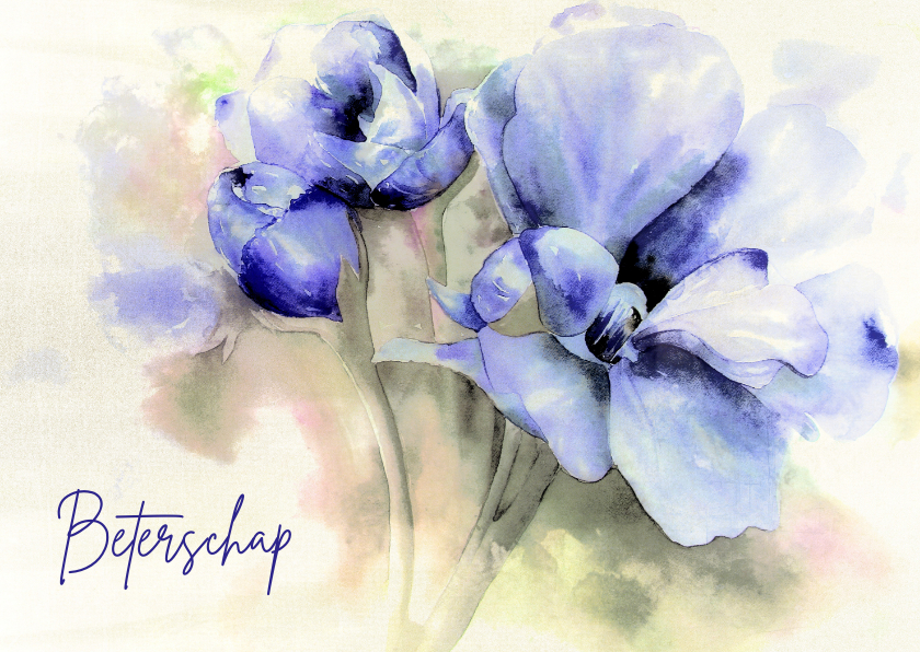 Beterschapskaarten - Beterschapskaart paars aquarel bloem