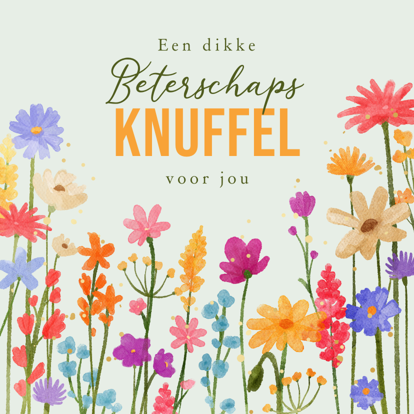 Beterschapskaarten - Beterschapskaartje wilde bloemen kleurrijk dikke knuffel