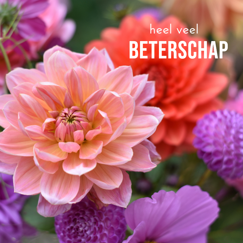 Beterschapskaarten - Fleurige beterschapskaart met een foto van dahlia bloemen