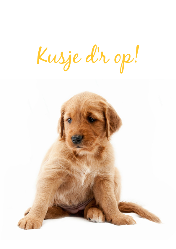 Beterschapskaarten - KNGF Geleidehond beterschapskaart 'kusje d'r op!'