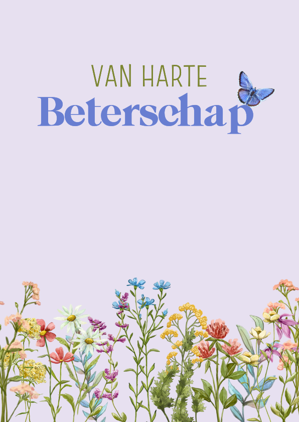 Beterschapskaarten - Mooie klassieke beterschapskaart met wilde bloemen