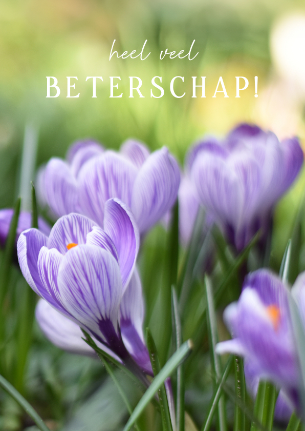 Beterschapskaarten - Vrolijke voorjaar beterschapskaart met bloeiende krokussen