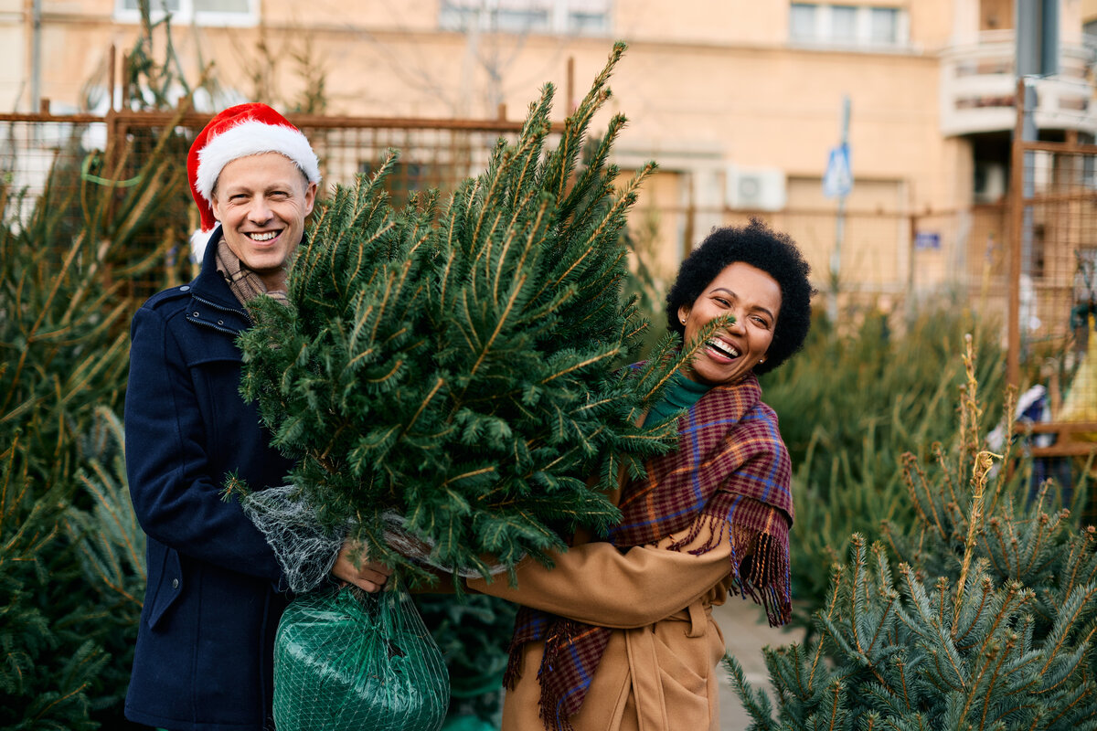 Wanneer kerstboom opzetten