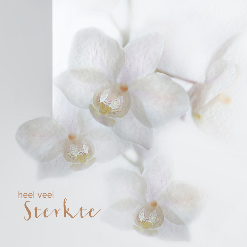 Condoleancekaarten - Sterkte met orchideeën