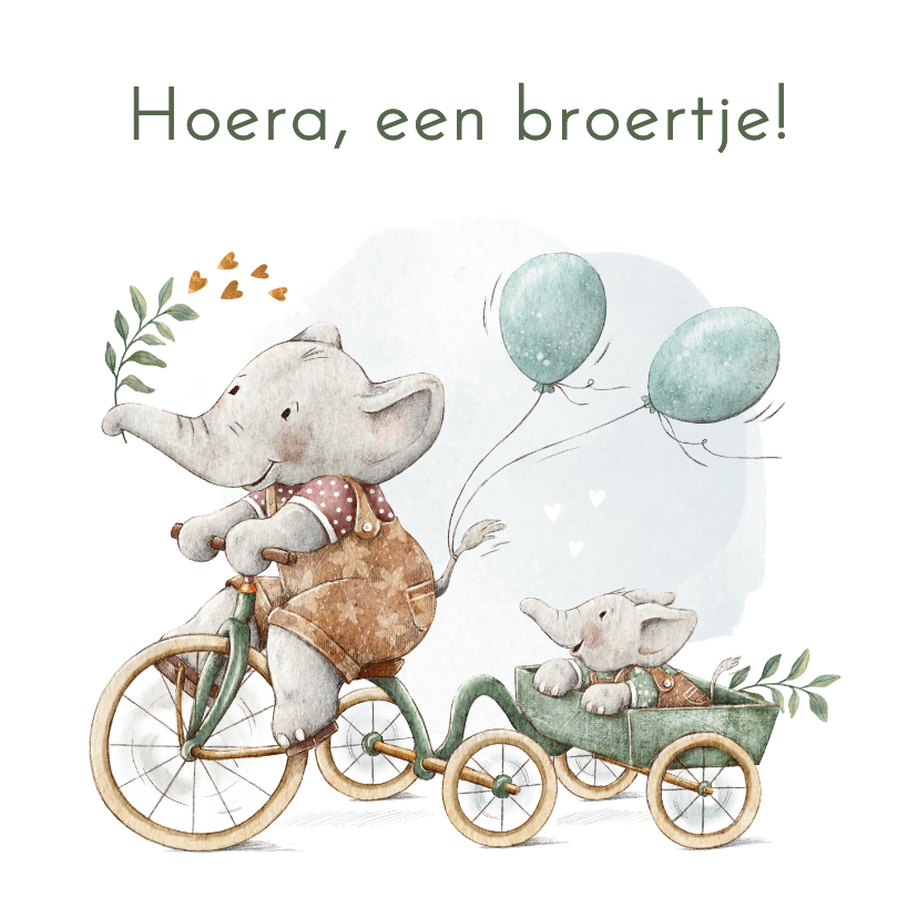 Felicitatiekaarten - Felicitatie geboorte broertje met olifantjes op de fiets