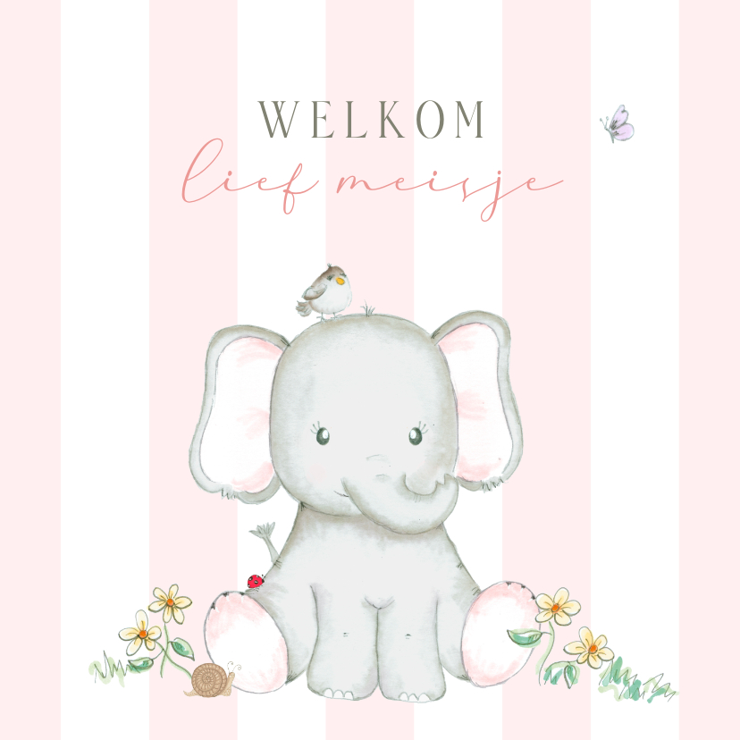 Felicitatiekaarten - Felicitatie geboorte - meisje olifant roze strepen