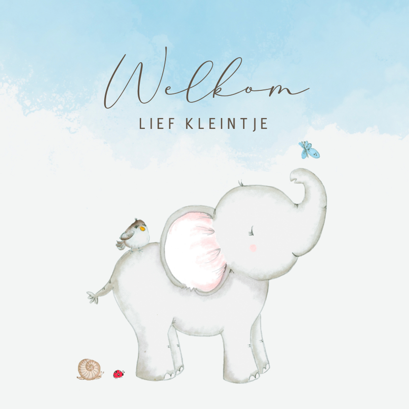 Felicitatiekaarten - Felicitatie geboorte - olifant met vlinder jongen