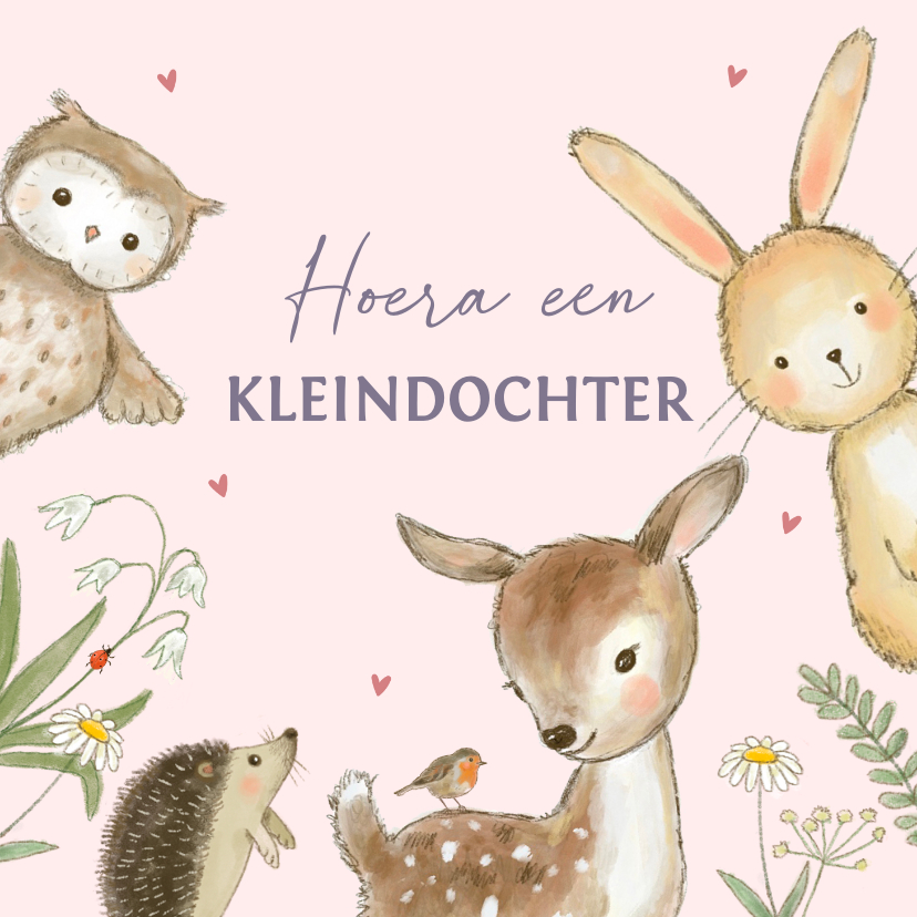 Felicitatiekaarten - Felicitatiekaart geboorte - bosdieren lente kleindochter