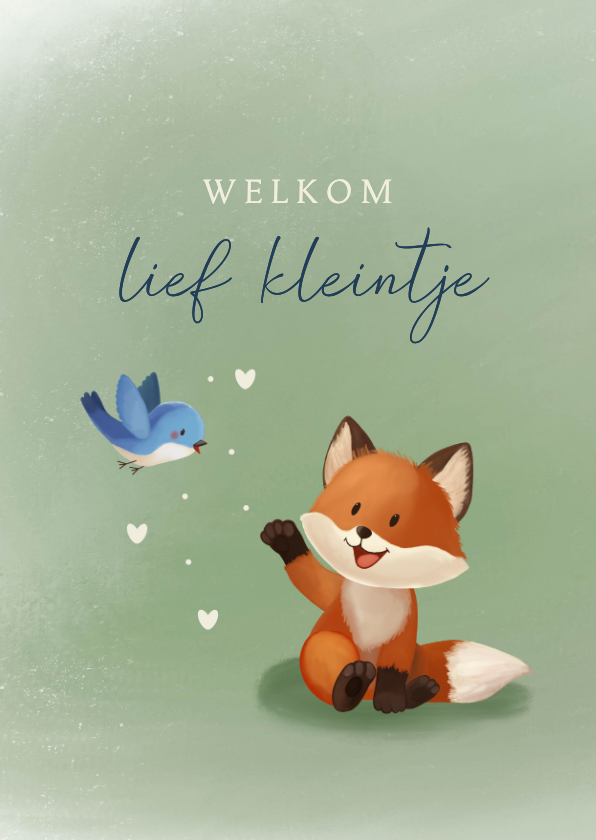 Felicitatiekaarten - Felicitatiekaart geboorte jongen met vosje en vogel