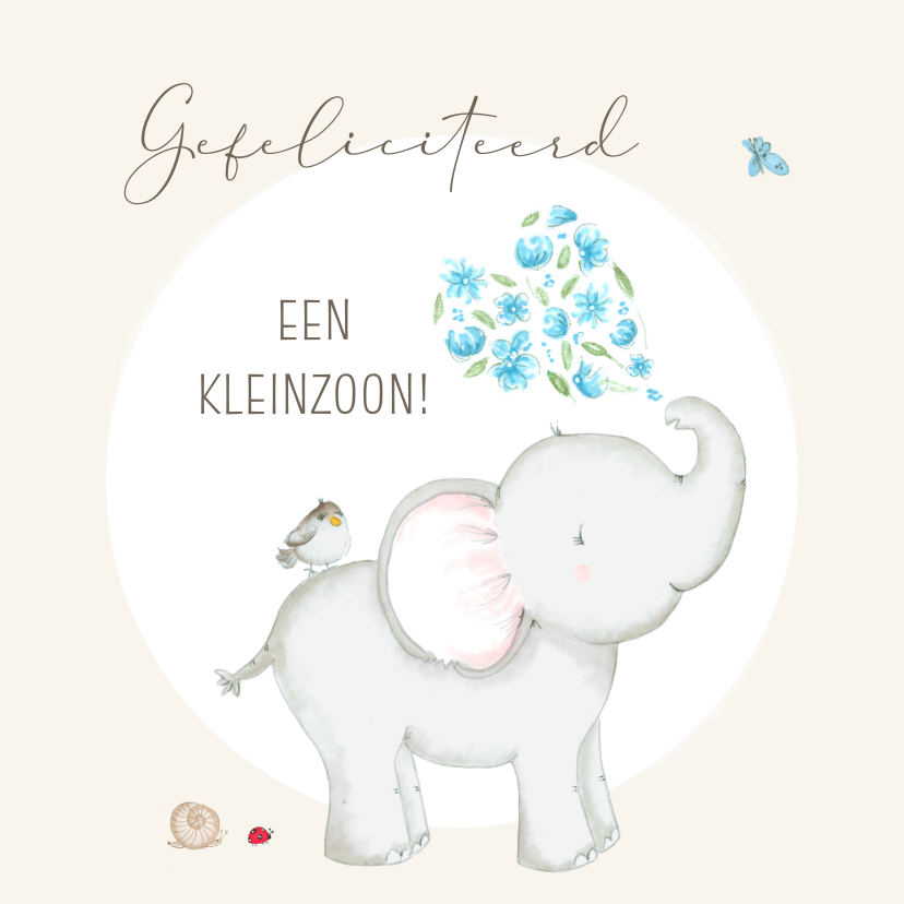 Felicitatiekaarten - Felicitatiekaart geboorte - Olifant bloemen kleinzoon