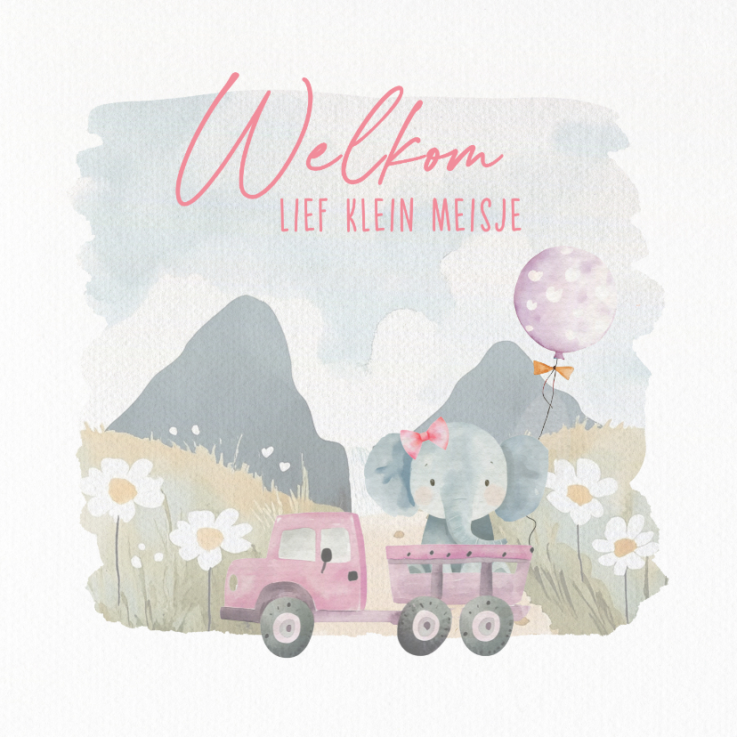 Felicitatiekaarten - Felicitatiekaart geboorte olifant met strik in auto ballon