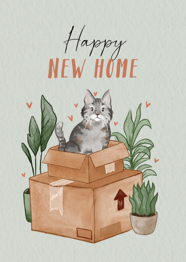 Felicitatiekaarten - Felicitatiekaart nieuwe woning met kat in verhuisdoos