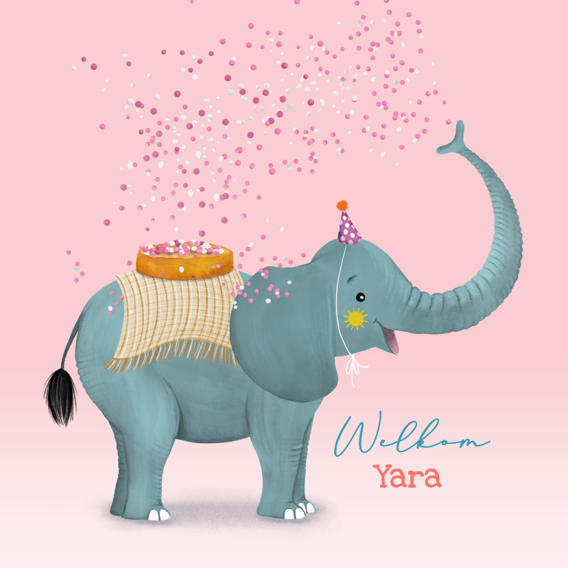 Felicitatiekaarten - Felicitatiekaart olifant met beschuit en muisjes