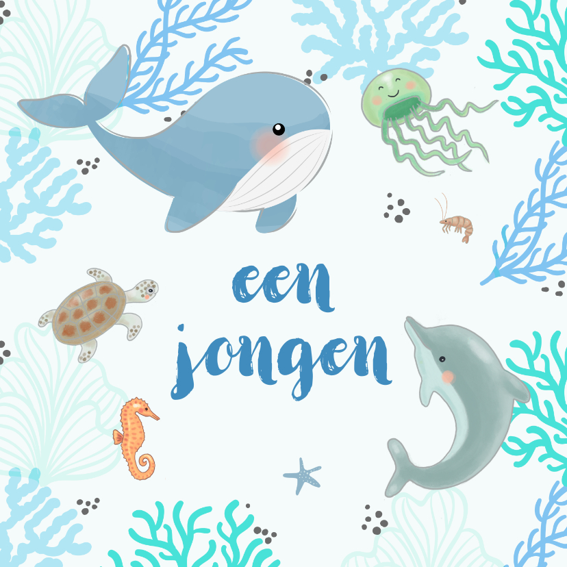 Felicitatiekaarten - Felicitatiekaart zeedieren koraal geboorte 