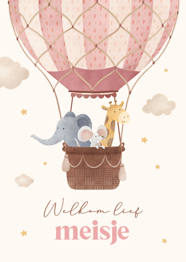 Felicitatiekaarten - Felicitatiekaartje geboorte meisje luchtballon dieren