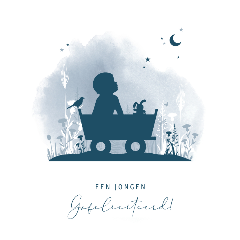 Felicitatiekaarten - Felicitatiekaartje silhouet jongen in bolderkar