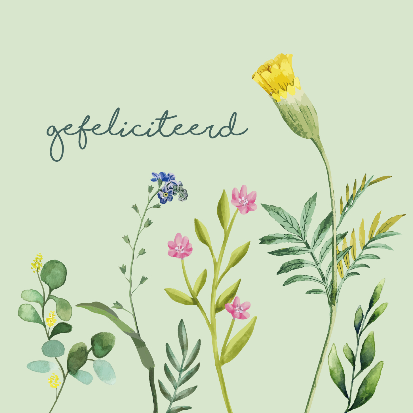 Felicitatiekaarten - Gefeliciteerd bloem felicitatiekaart