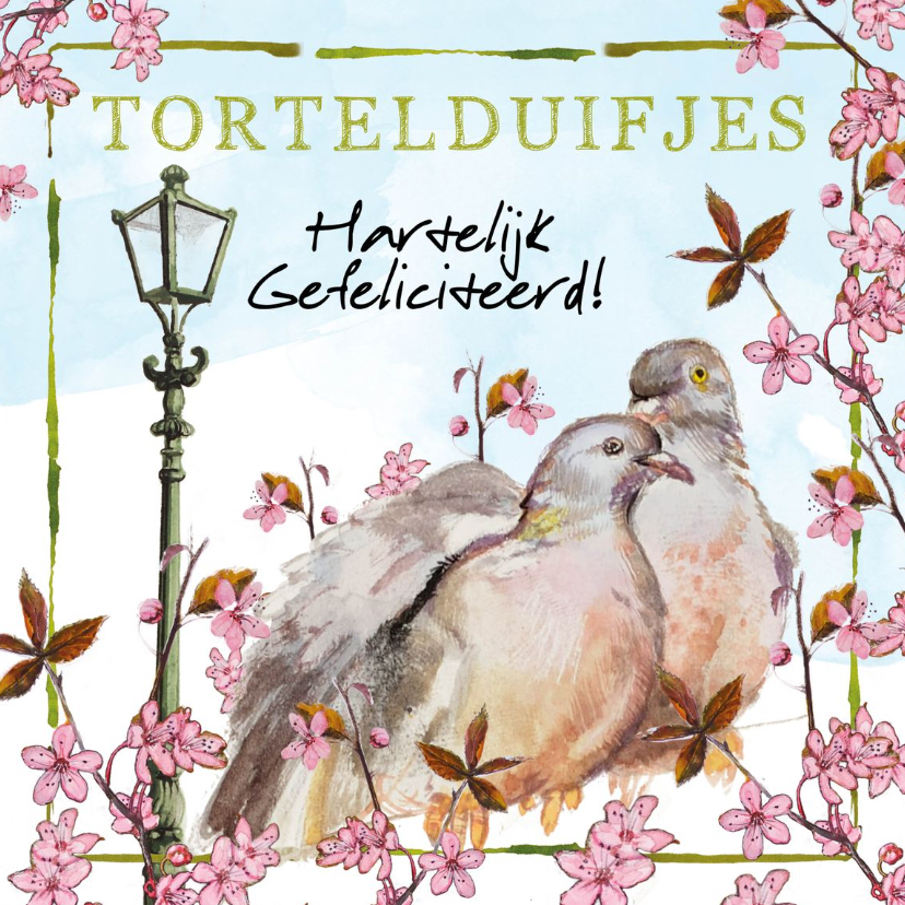 Felicitatiekaarten - Tortelduifjes, hartelijk gefeliciteerd!