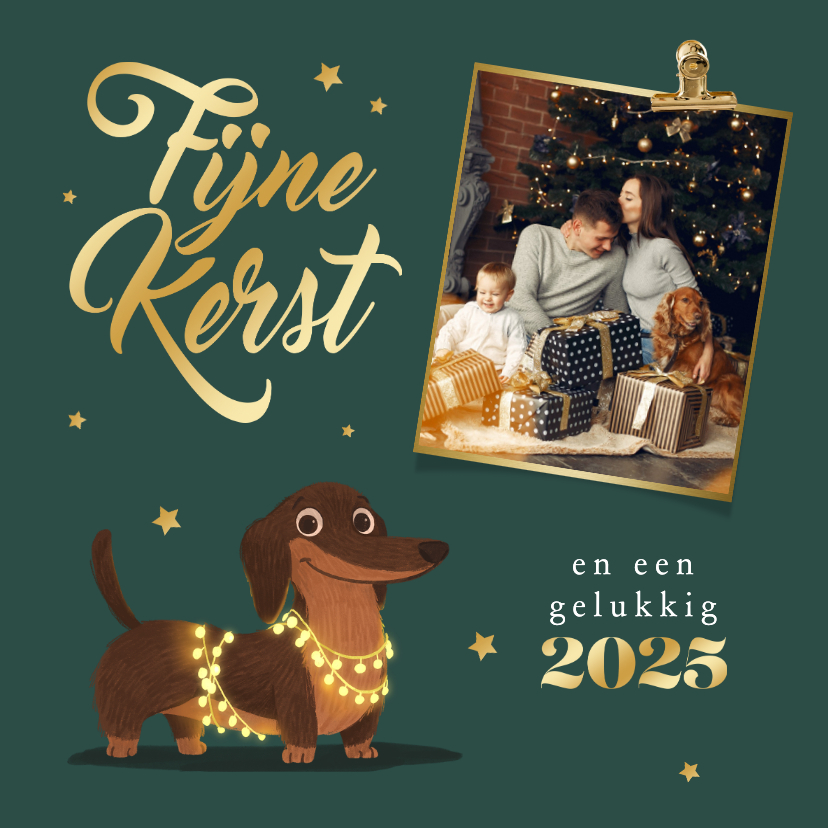 Fotokaarten - 'Fijne kerst' fotokaart teckel sterren goud lampjes