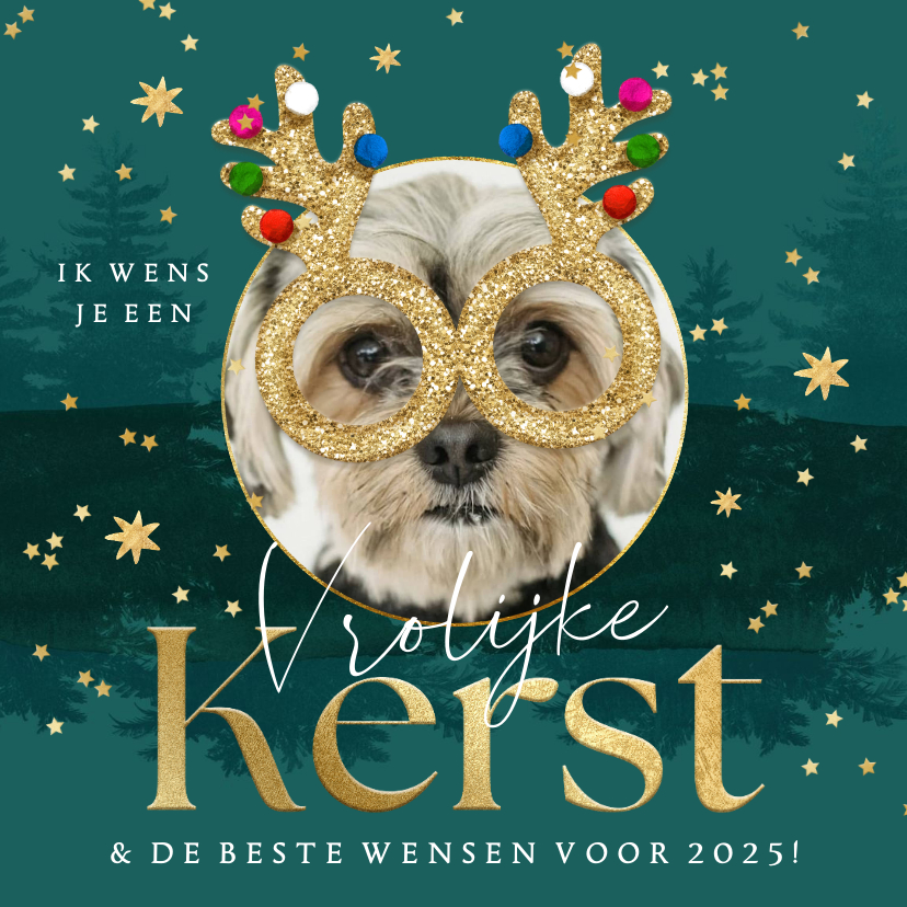Fotokaarten - Grappige fotokaart kerst met hond kerstbril