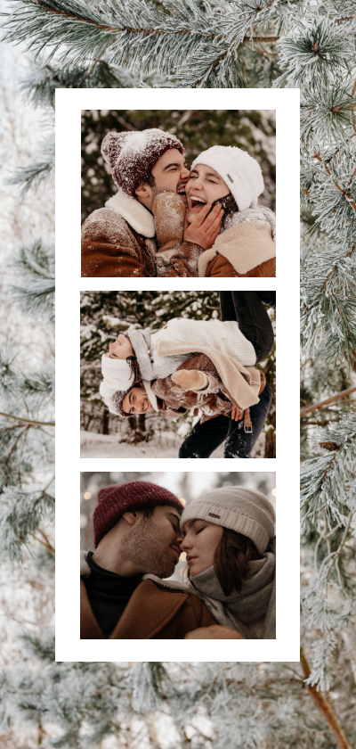 Fotokaarten - Photobooth collage met dennenbomen in de sneeuw