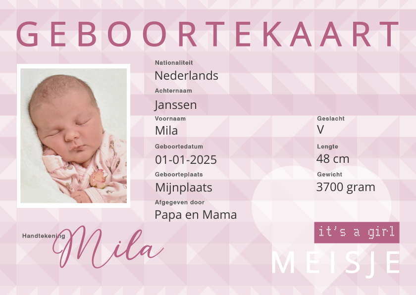 Geboortekaartjes - Geboorte identiteitskaart  meisje