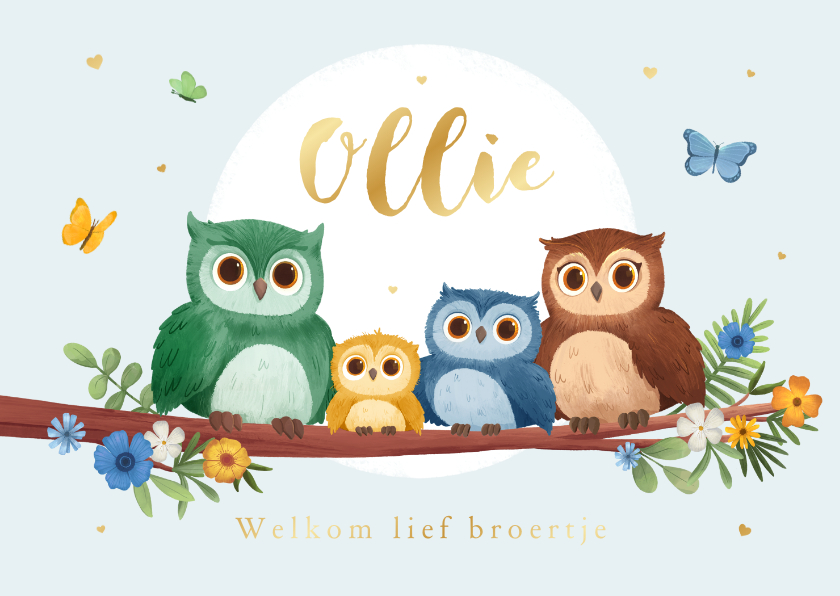 Geboortekaartjes - Geboortekaartje broertje lief uiltjes boom vlinders hartjes