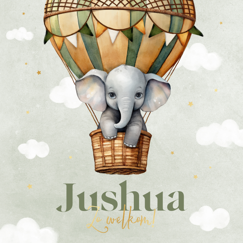 Geboortekaartjes - Geboortekaartje jongen vintage luchtballon olifantje lief