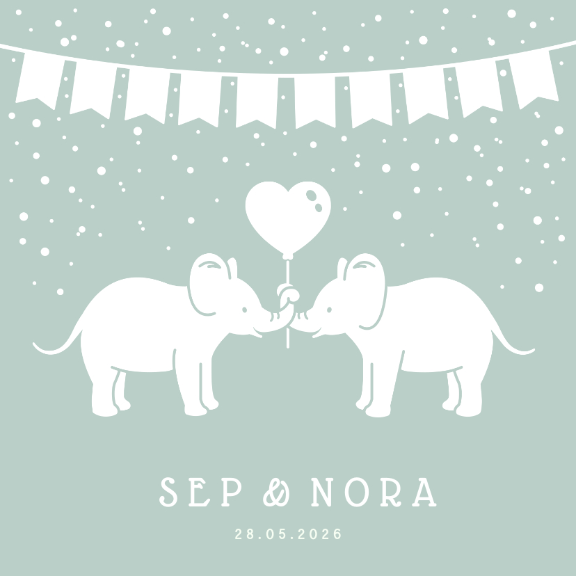 Geboortekaartjes - Geboortekaartje voor een tweeling met olifantjes en confetti