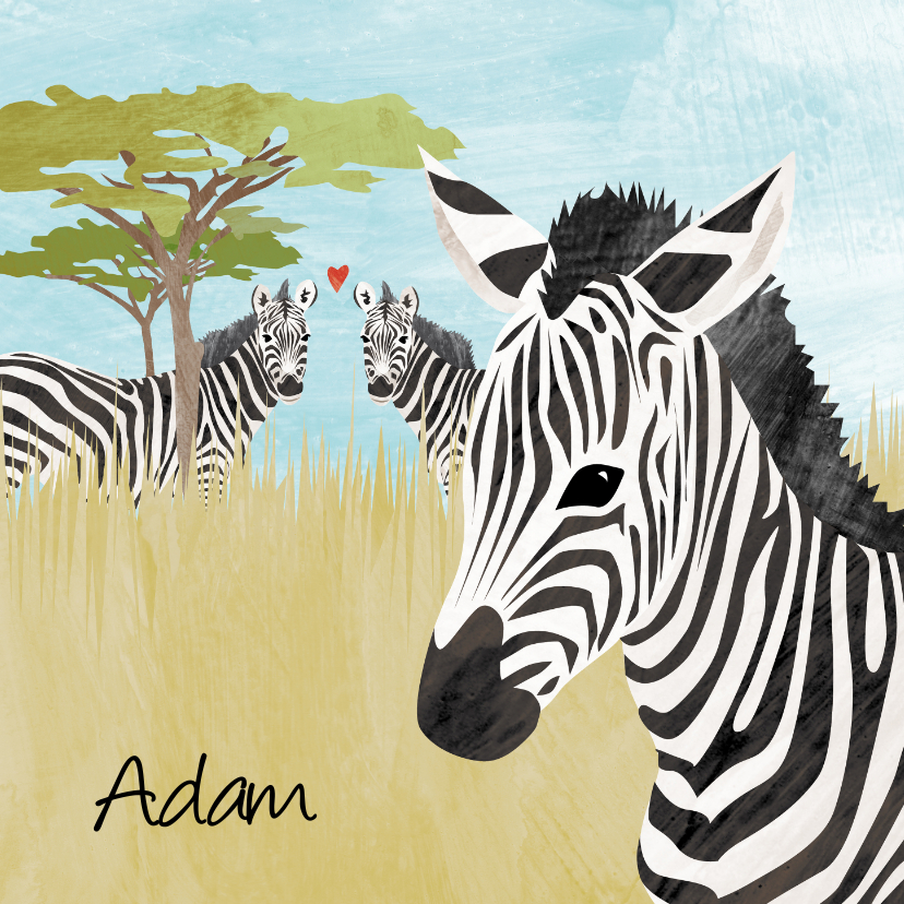 Geboortekaartjes - Geboortekaartje zebra Afrika