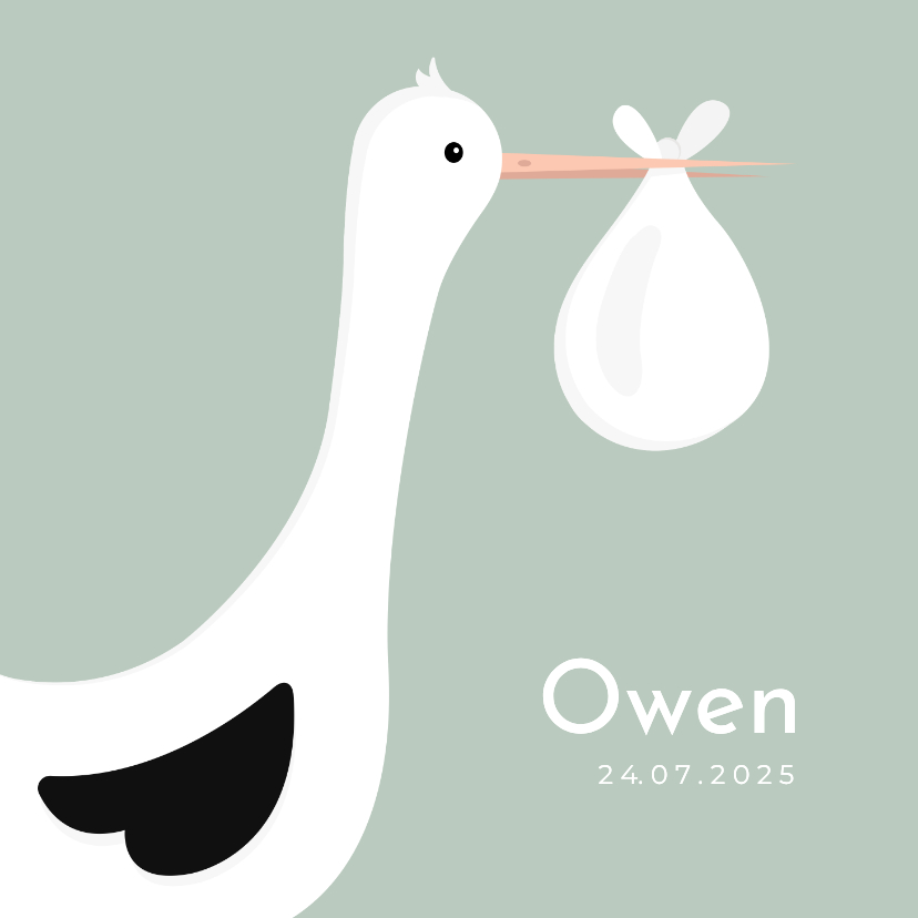 Geboortekaartjes - Lief geboortekaartje met ooievaar en baby jongen 