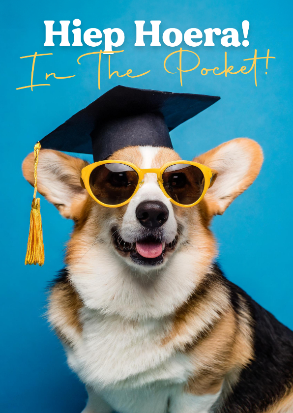 Geslaagd kaarten - Geslaagdkaartje met corgi hond met hoesje en zonnebril blauw