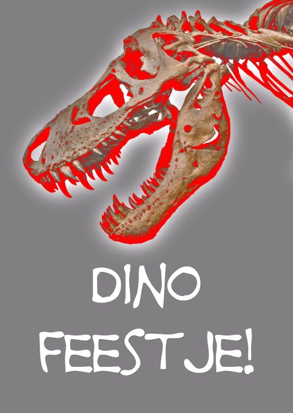 Dino Feestje - Kinderfeestjes - Kaartje2go