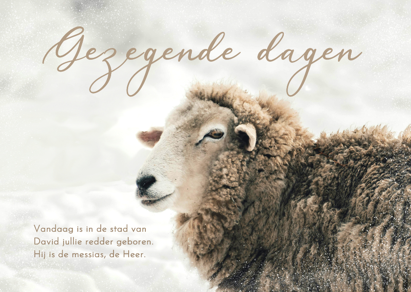 Kerstkaarten - Christelijke kerstkaart schaap bijbeltekst gezegende dagen