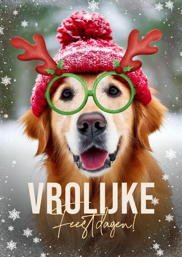 Kerstkaarten - Grappige kerstkaart hond met bril en gewei