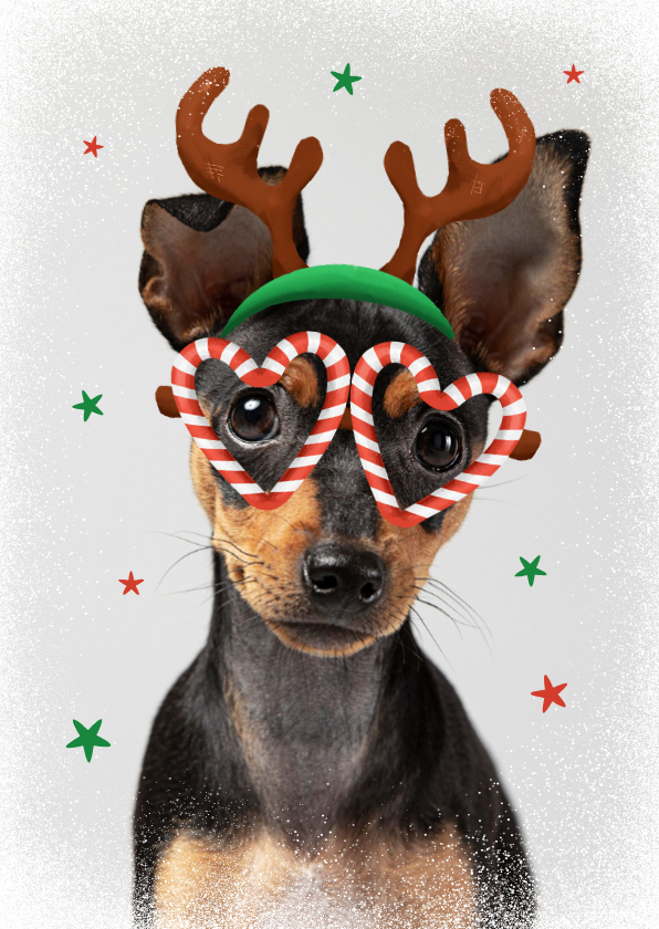 Kerstkaarten - Grappige kerstkaart huisdier hond foto bril rendier