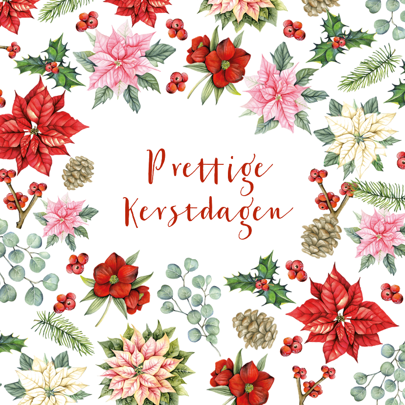 Kerstkaarten - Kerst kerstbloemen met takjes