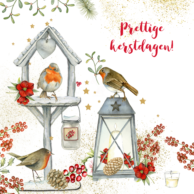 Kerstkaarten - Kerst vogelhuisje roodborstjes