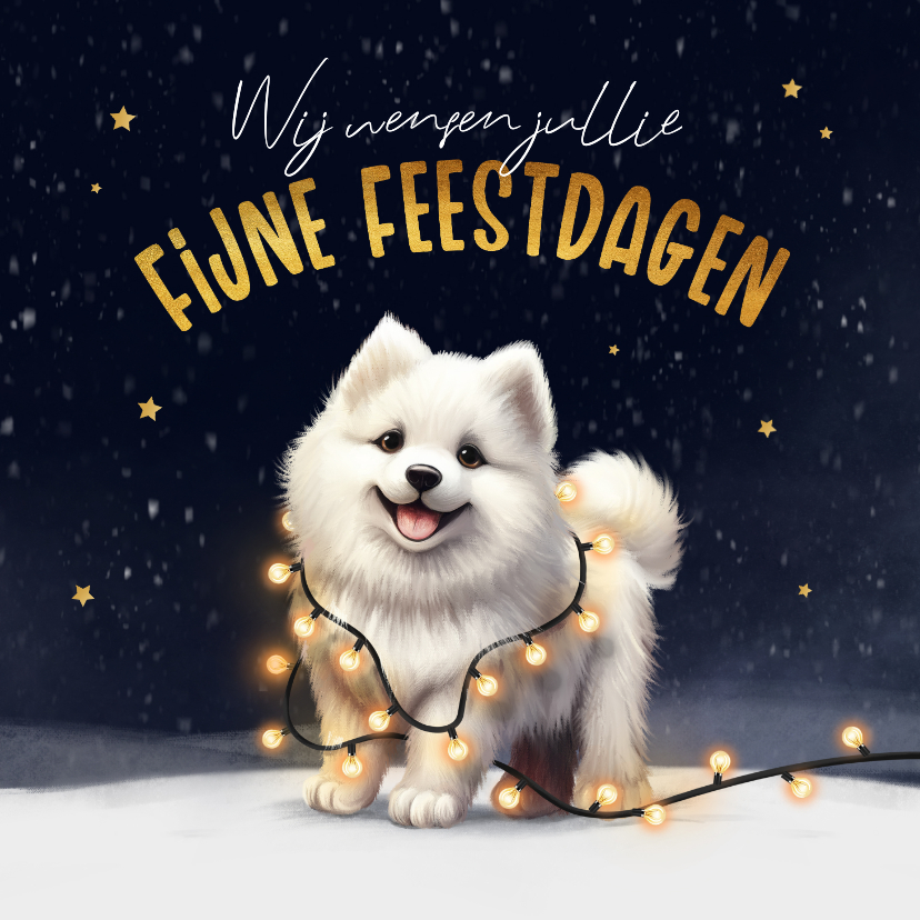 Kerstkaarten - Kerstkaart hond Samojeed puppy winter lampjes feestdagen