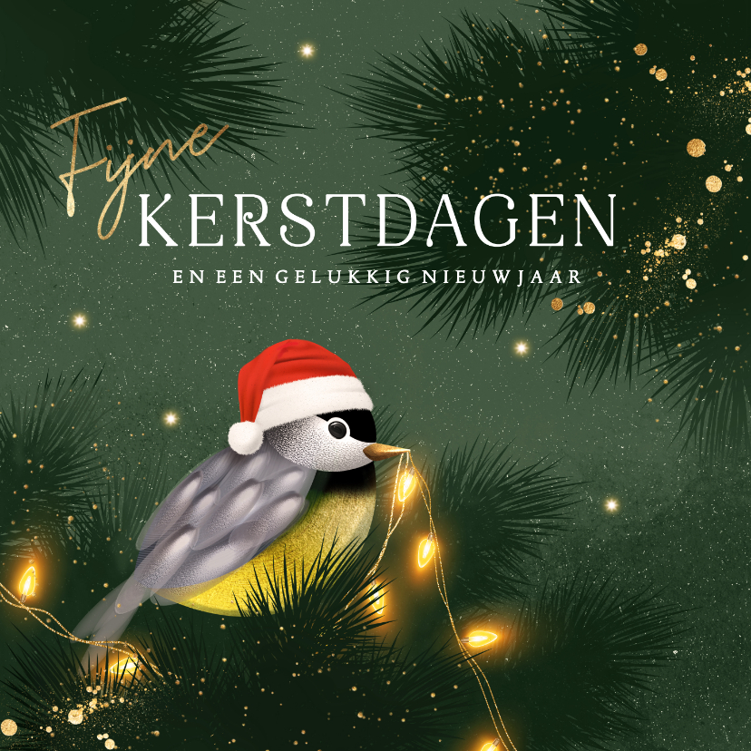 Kerstkaarten - Kerstkaart koolmeesje kerstboom lichtjes