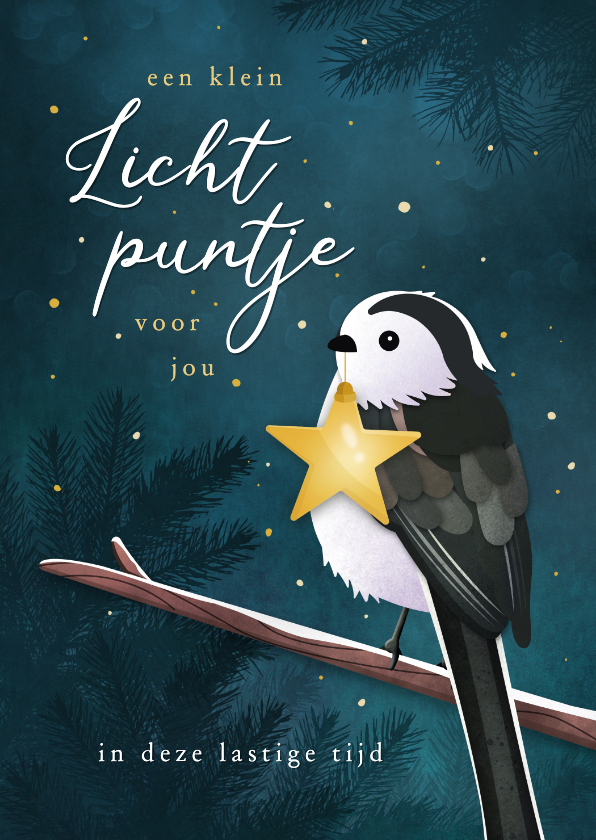 Kerstkaarten - Kerstkaart lichtpuntje met vogel sterkte in moeilijke tijd