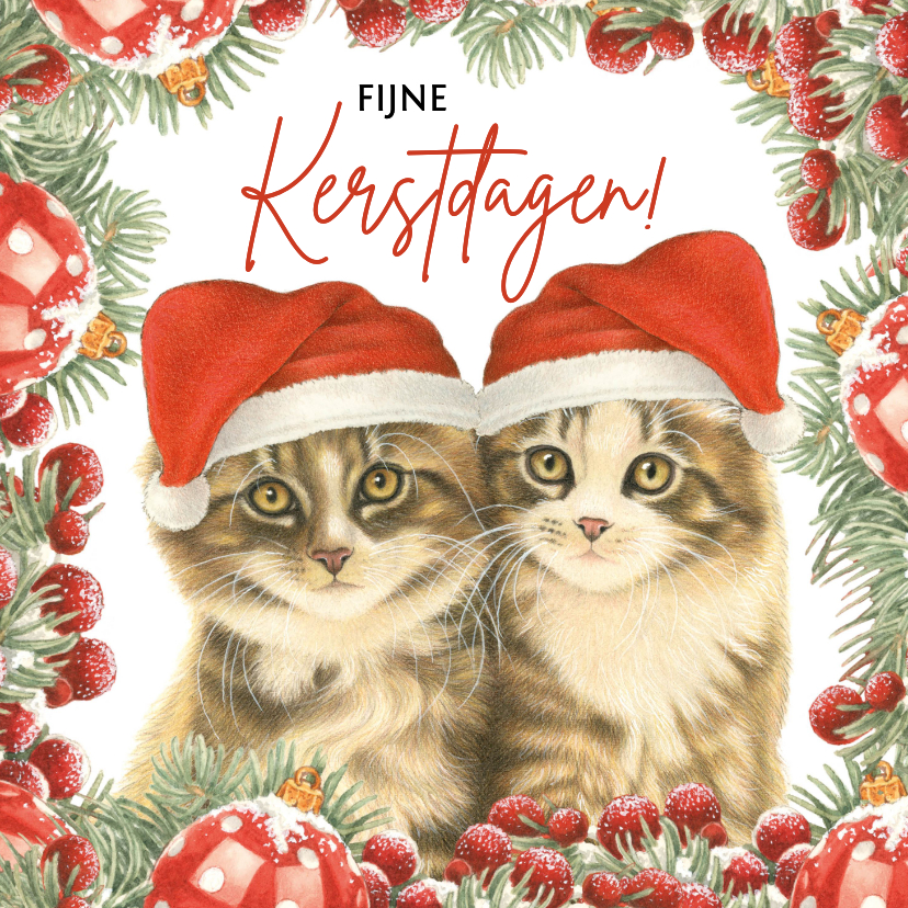 Kerstkaarten - Kerstkaart met 2 vrolijke kerstkittens met kersttakjes