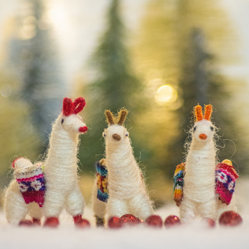 Kerstkaarten - Kerstkaart met 3 lama's in een winters landschap