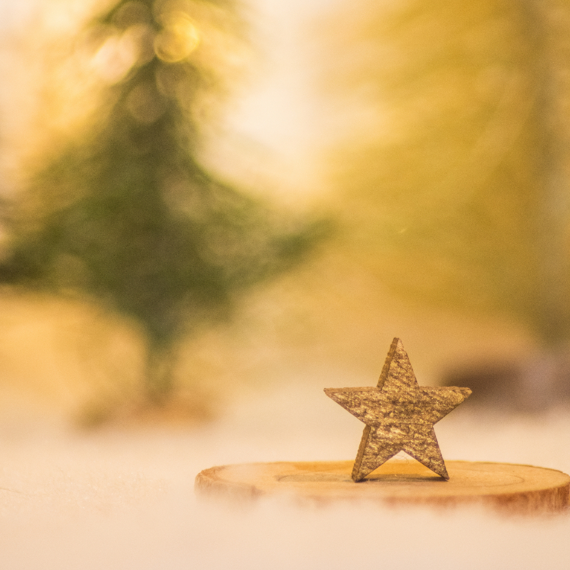 Kerstkaarten - Kerstkaart met een gouden ster in een winterlandschap