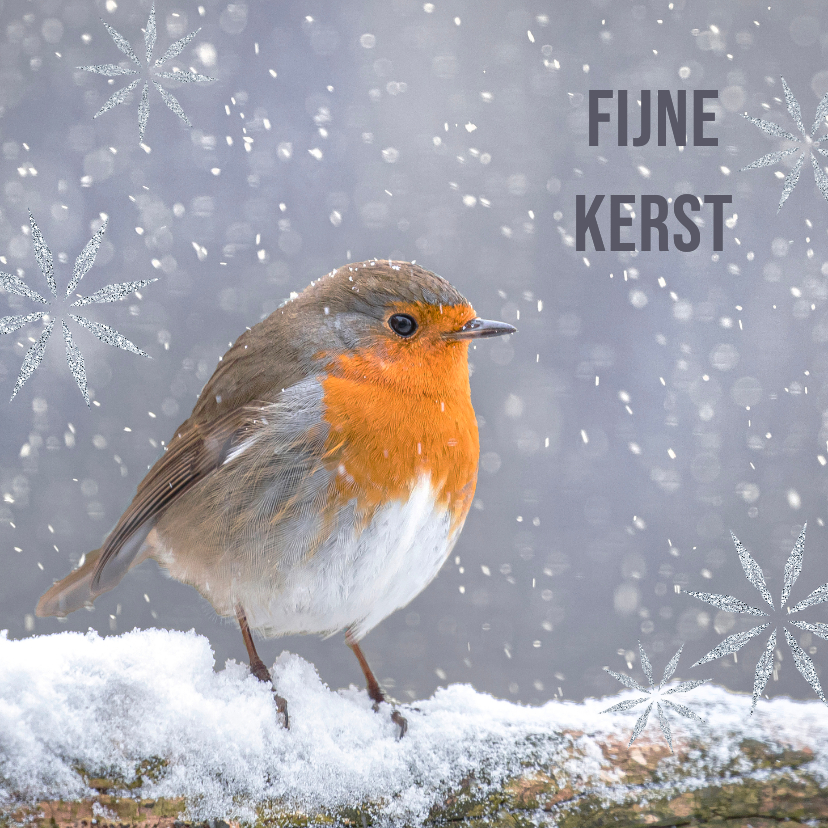 Kerstkaarten - Kerstkaart met foto roodborst in de sneeuw